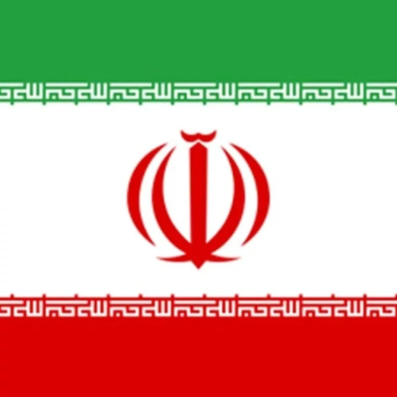 پرچم ایران دسته دار پارچه ای 20در30 سانت کد 665