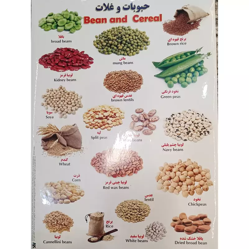 برچسب حبوبات و غلات  اموزشی پشت چسب دار مناسب مدرسه و کاردستی برچسب آموزشی