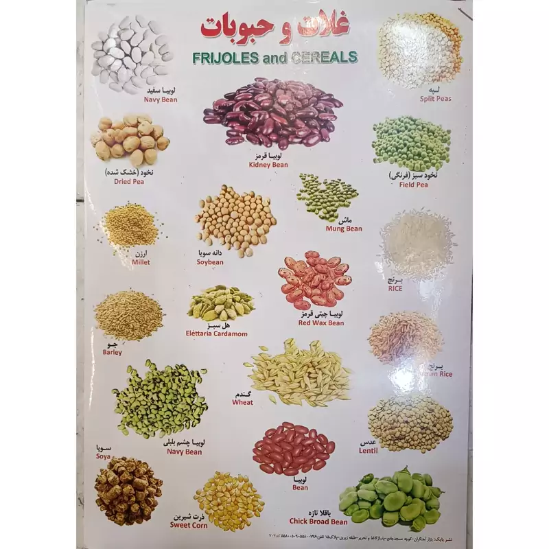 برچسب غلات و حبوبات  اموزشی پشت چسب دار مناسب مدرسه و کاردستی برچسب آموزشی