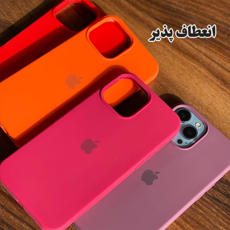 کاور قاب گارد مدل SILASLIG مناسب برای گوشی موبایل اپل iPhone 14 Pro Max