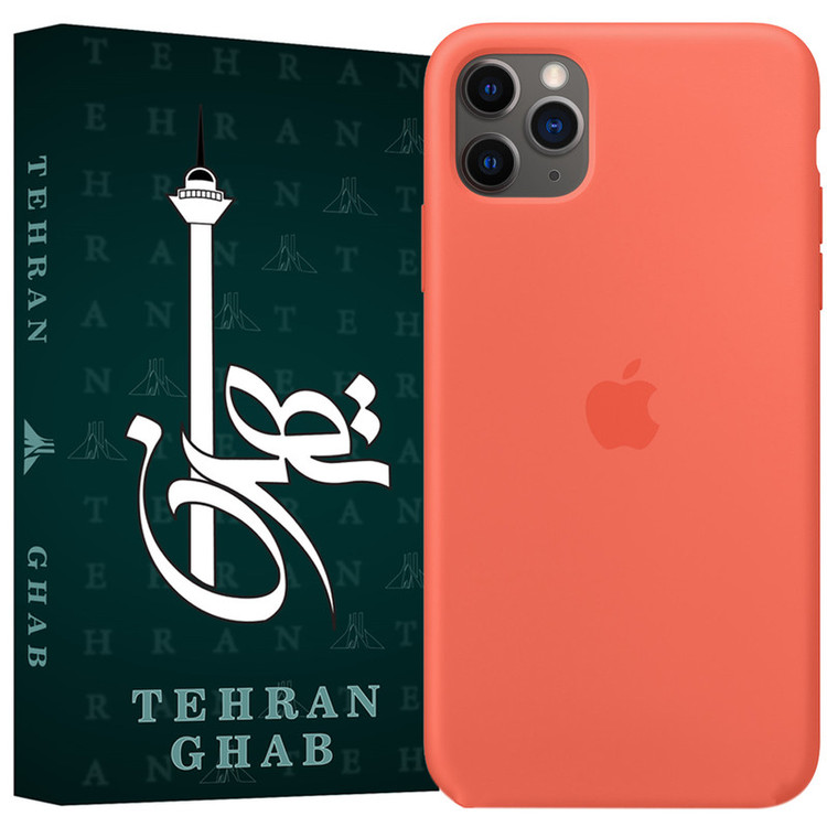 کاور تهران قاب مدل TSILB مناسب برای گوشی موبایل اپل iPhone 11 Pro Max