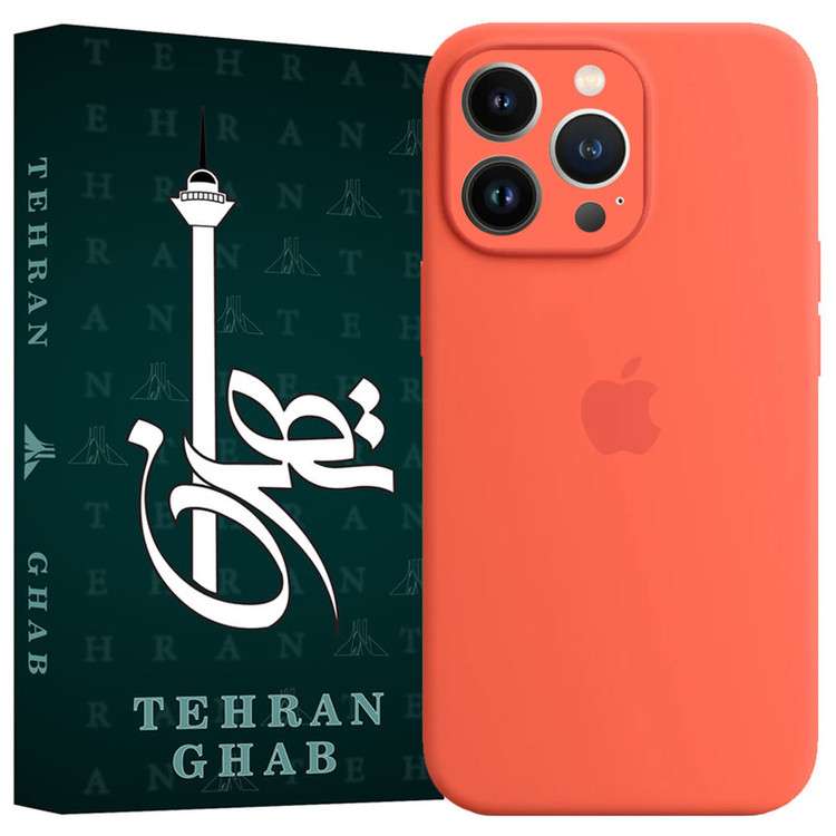 کاور تهران قاب مدل TSILICIN مناسب برای گوشی موبایل اپل iPhone 13 Pro