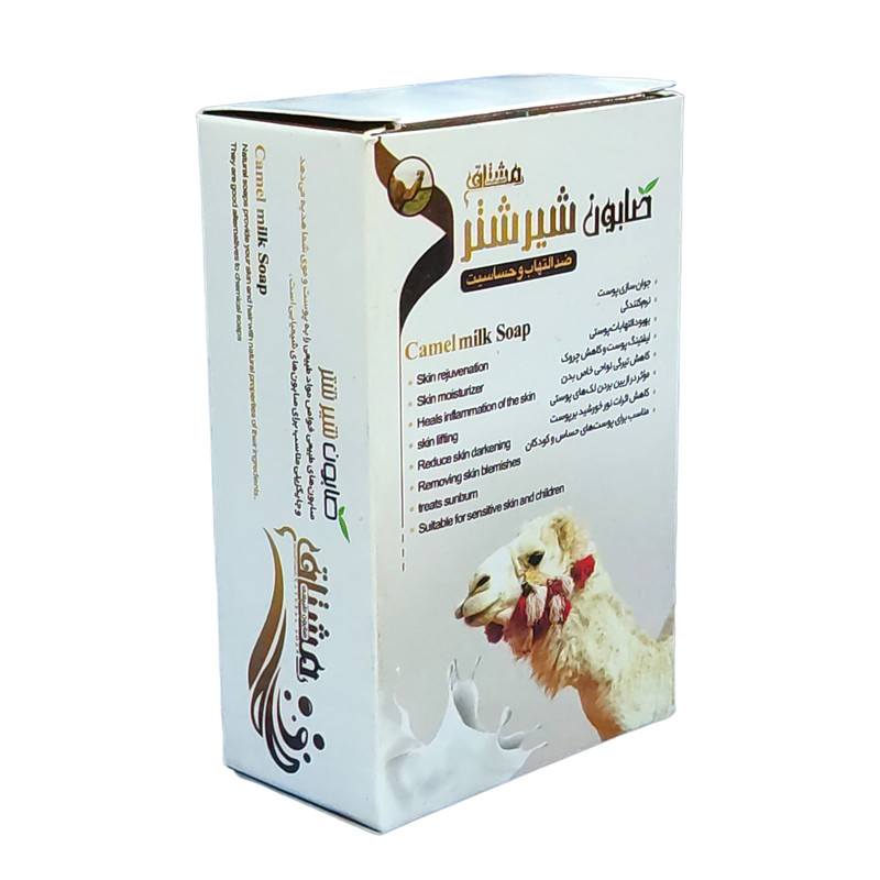 صابون شستشو مشتاق مدل شیرشتر وزن 80 گرم بسته 2 عددی