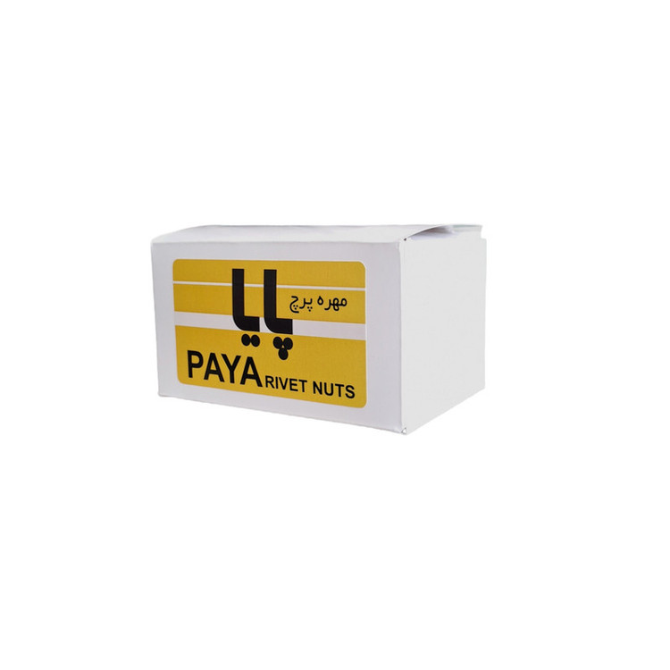 مهره کاسه نمدی پایا مدل M6 کد PAYA69 مجموعه 20 عددی