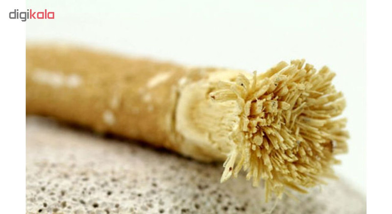 چوب مسواک الفضل مجموعه 2 عددی