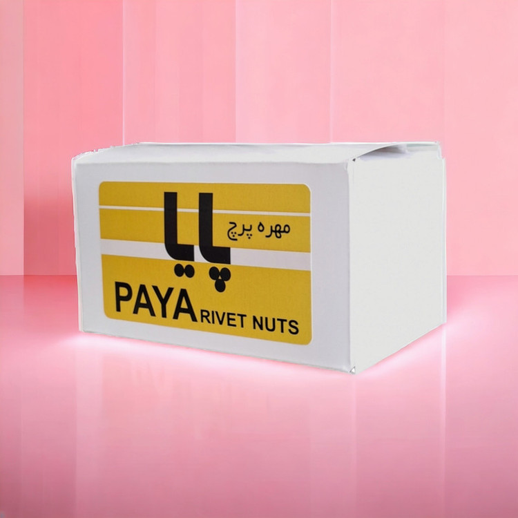 مهره پایا مدل M4 کد PAYA69 مجموعه 50 عددی
