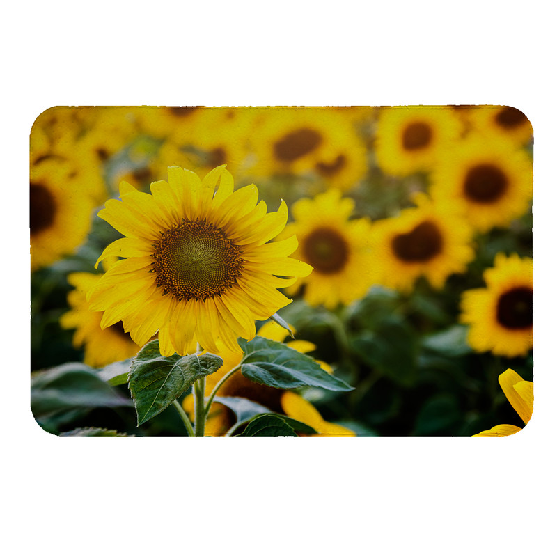 رطوبت گیر کنار سینک کد 8488