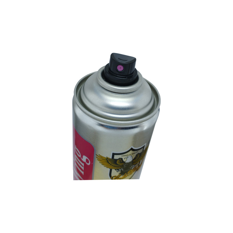 اسپری براق کننده تایر گلدوینگ مدل Tire Shine حجم 700 میلی لیتر
