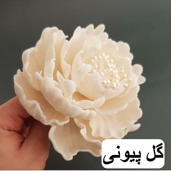 قالب فوندانت و کاتر شیرینی پزی به گز مدل گل پیونی مجموعه 6 عددی
