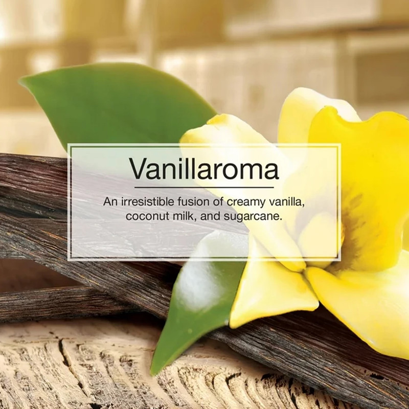 خوشبوکننده خودرو لیتل تریس مدل Trees رایحه Vanillaroma
