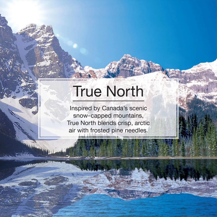 خوشبوکننده خودرو لیتل تریس مدل Trees رایحه True North بسته 3 عددی