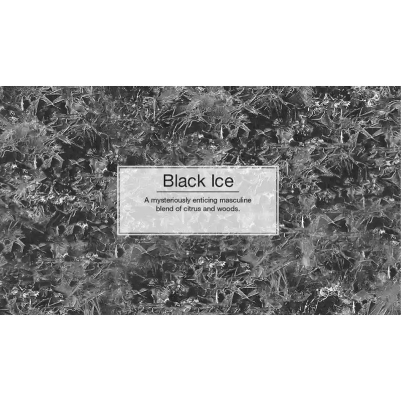 خوشبوکننده خودرو لیتل تریس مدل FIBER CAN مدل BLACK ICE