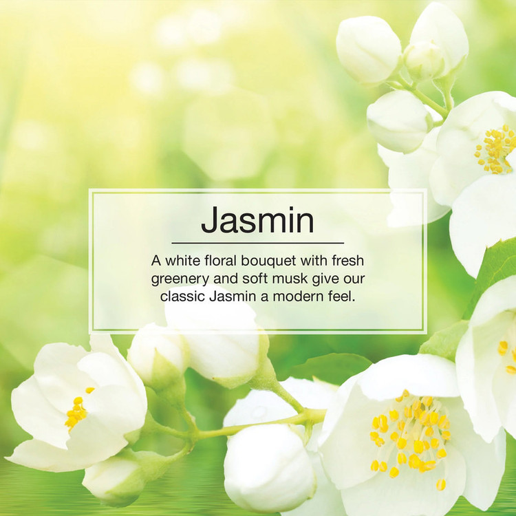 خوشبوکننده خودرو لیتل تریس مدل Trees رایحه Jasmin
