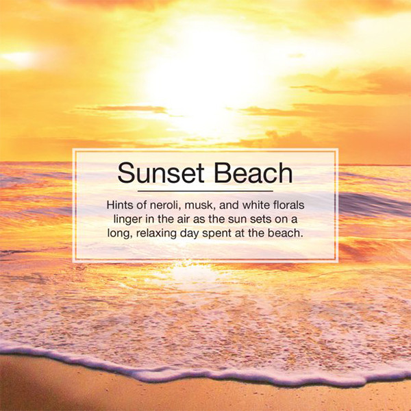 خوشبوکننده خودرو لیتل تریس مدل Sunset Brach