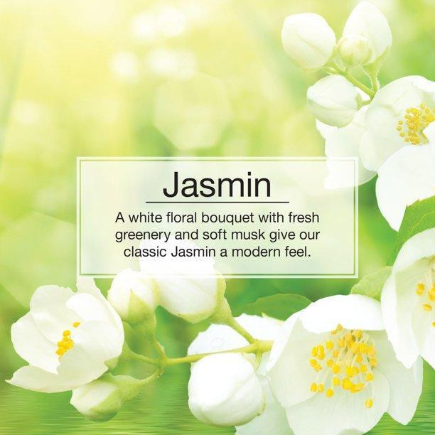 خوشبوکننده خودرو لیتل تریس مدل Jasmin