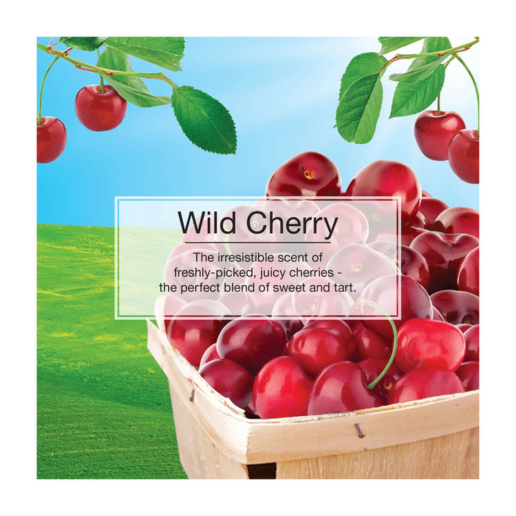 خوشبوکننده خودرو لیتل تریس مدل Trees رایحه Wild Cherry