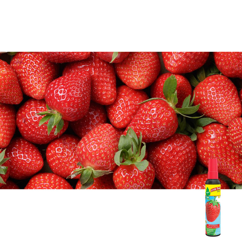 اسپری خوشبوکننده خودرو لیتل تریس مدل Strawberry وزن 110 گرم