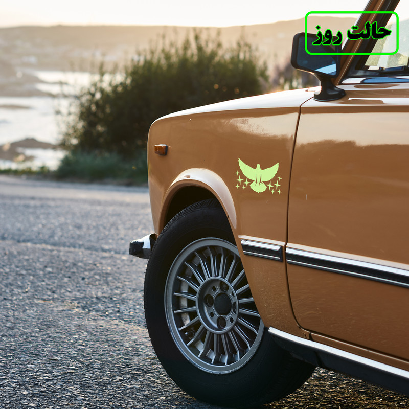 برچسب بدنه خودرو مدل شب تاب طرح پرنده و ستاره کدCK