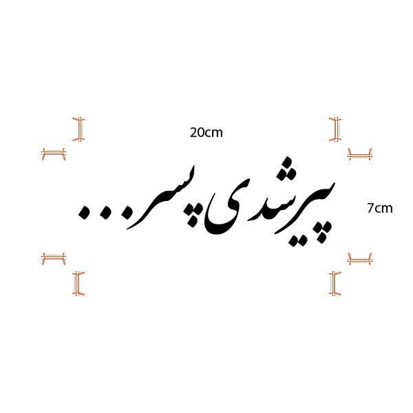 برچسب خودرو صفا طرح پیر شدی پسر
