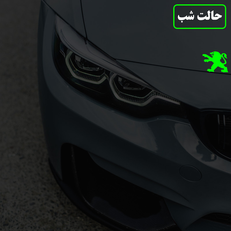 برچسب بدنه خودرو مدل شب تاب کد CK