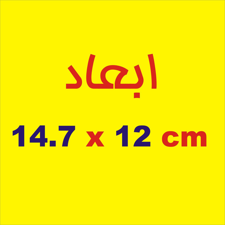 برچسب بدنه خودرو لیزارد مدل مذهبی طرح یا علی کد LZD-037