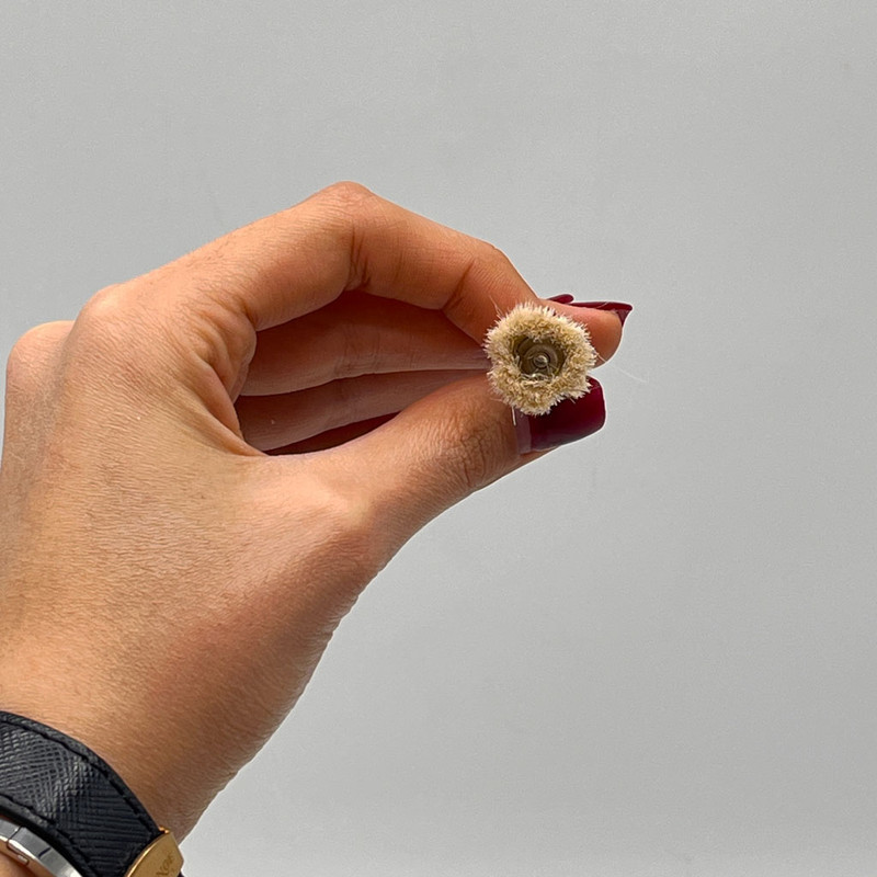 فرچه مویی مینیاتوری کد jt-30