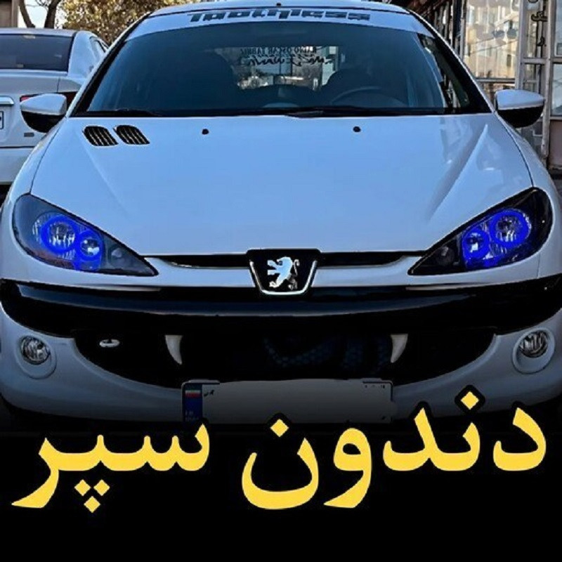 دندانی سپر خودرو اس پی اس کد RD مجموعه 2 عددی