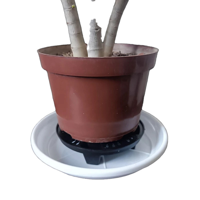 زیرگلدانی مدل جزیره کد 16.5cm بسته دو عددی