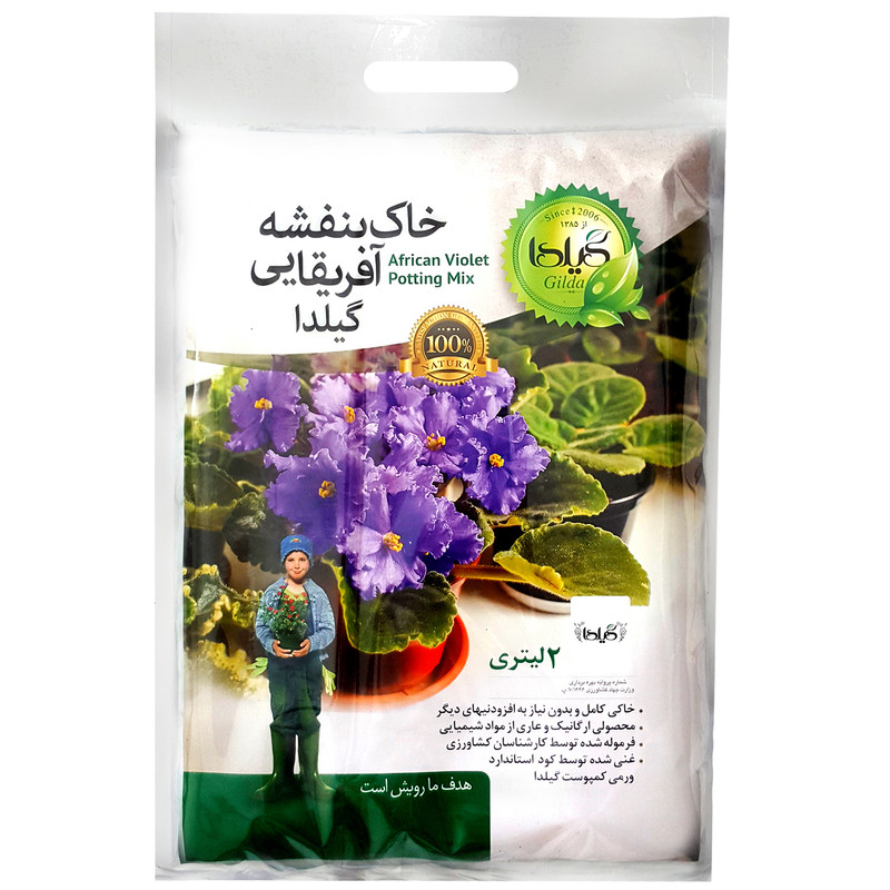 خاک بنفشه آفریقایی گیلدا مدل GV2L حجم 2 لیتر