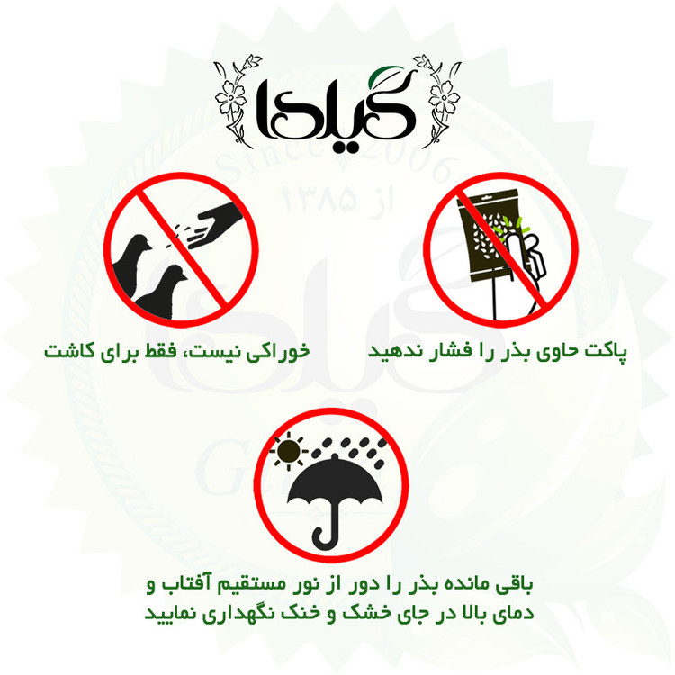بذر هندوانه دیمی گیلدا کد 713