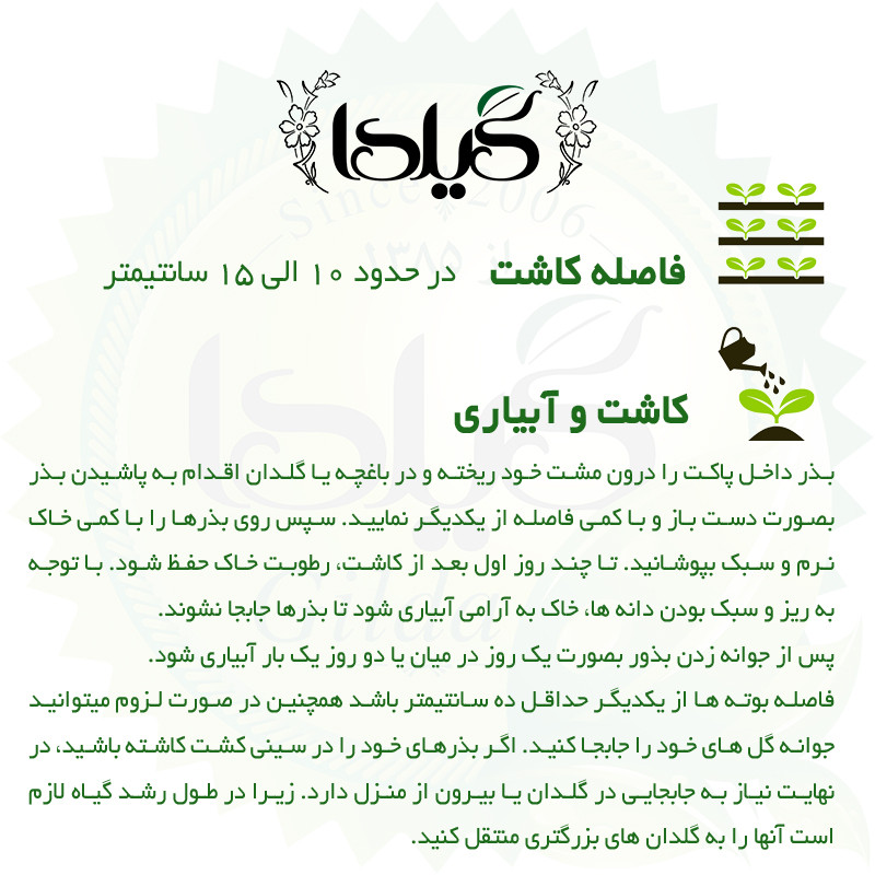 بذر درخت ابریشم ایرانی گیلدا کد 966