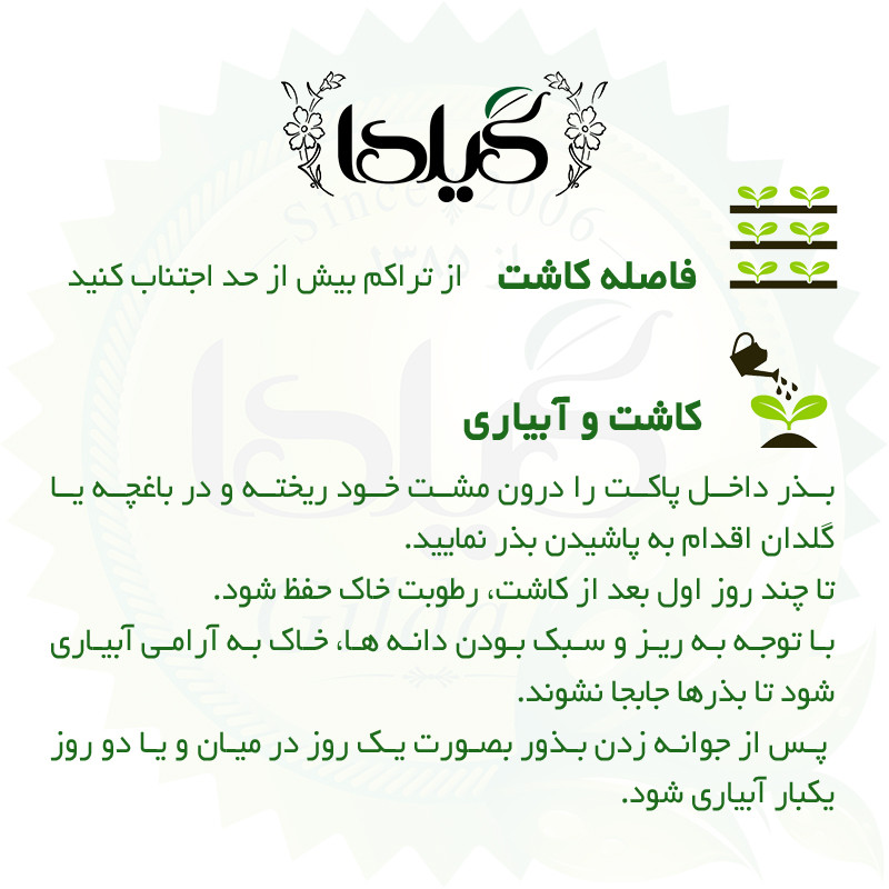 بذر اسفناج گیلدا کد 129