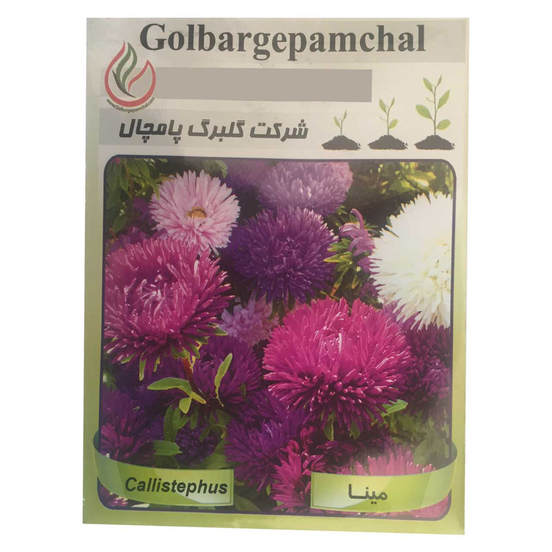 بذر گل مینا گلبرگ پامچال مدل GP19