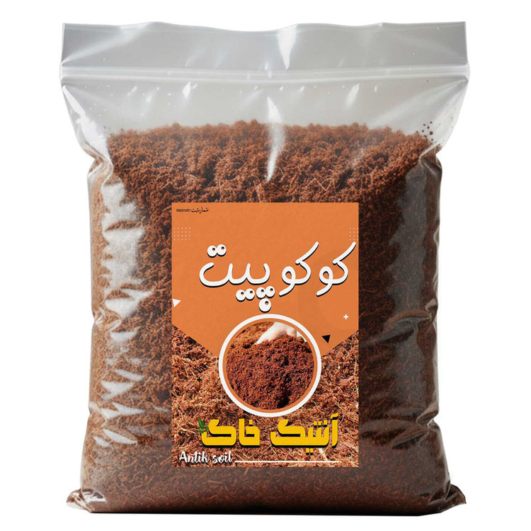 کوکوپیت آنتیک خاک مدل 4LR وزن 1 کیلوگرم