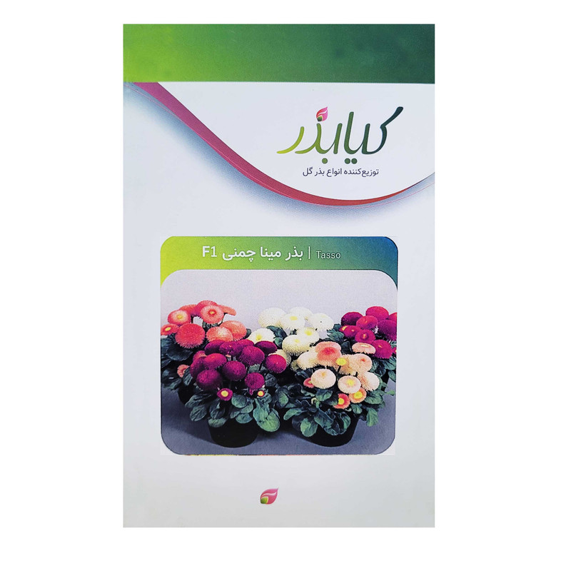 بذر گل مینا چمنی F1 کیا بذر کد 021