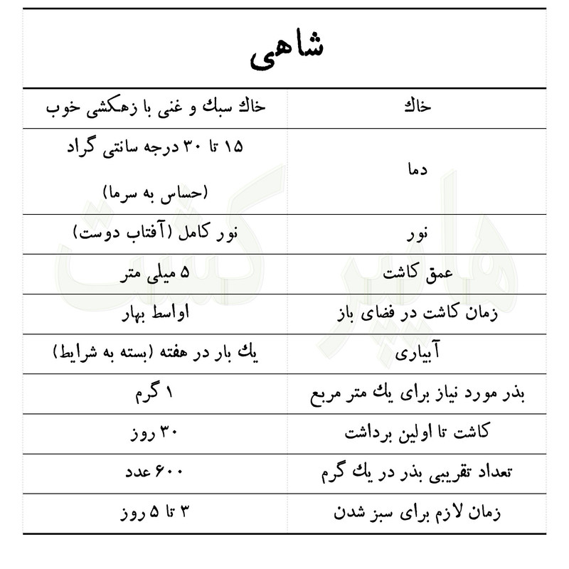 بذر شاهی گرین سیدز کد 216
