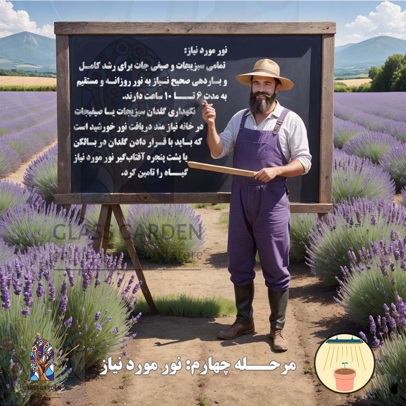 بذر گوجه گیلاسی چری یخی زرد روشن گلس گاردن مدل GL10