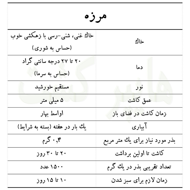 بذر مرزه گرین سیدز کد 221