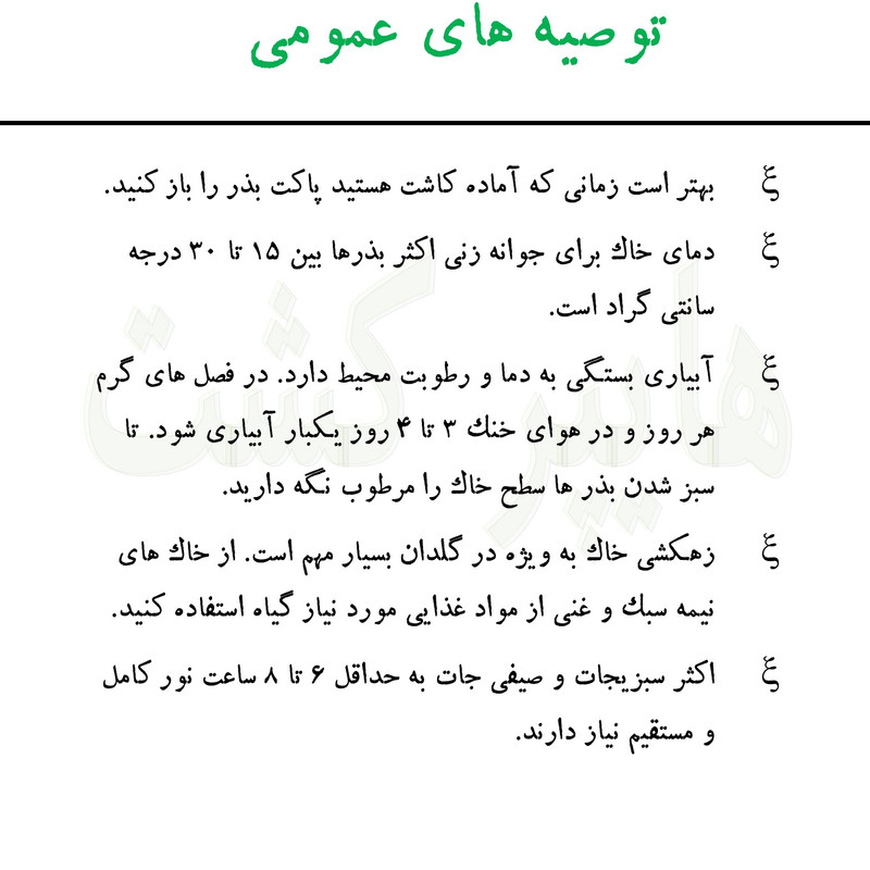 بذر مرزه گرین سیدز کد 221