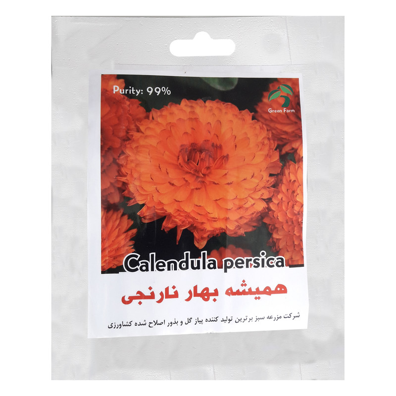 بذر گل همیشه بهار نارنجی گرین فارم کد 003 بسته 2 عددی
