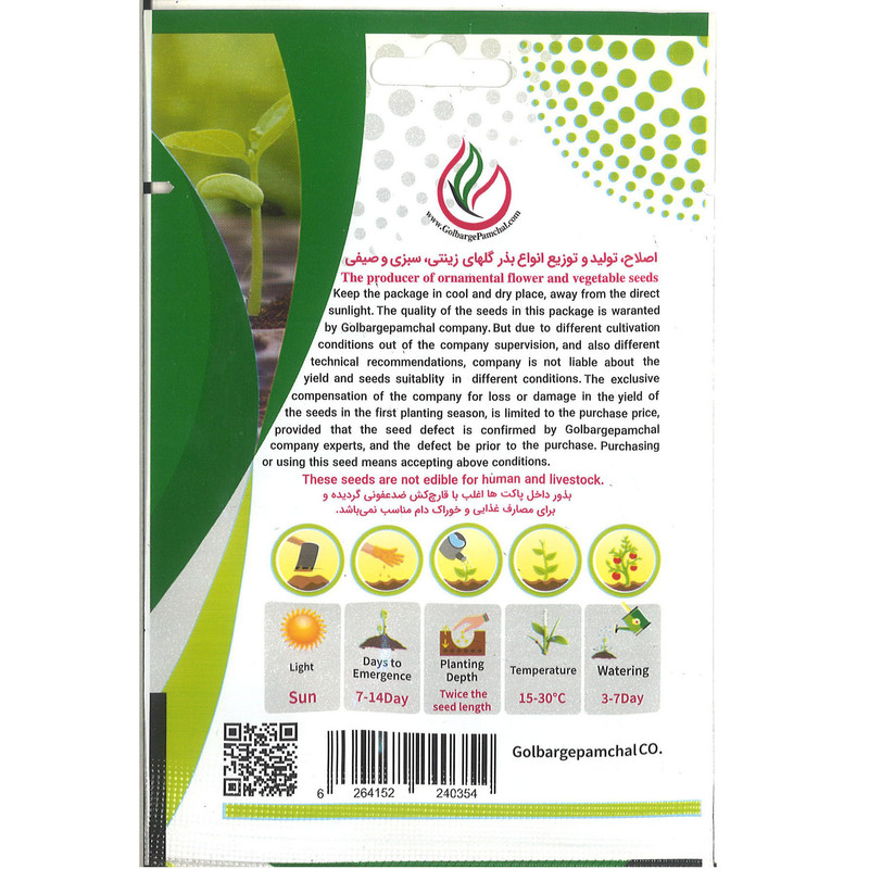 بذر خیار چنبر جی پی سید مدل GP1914