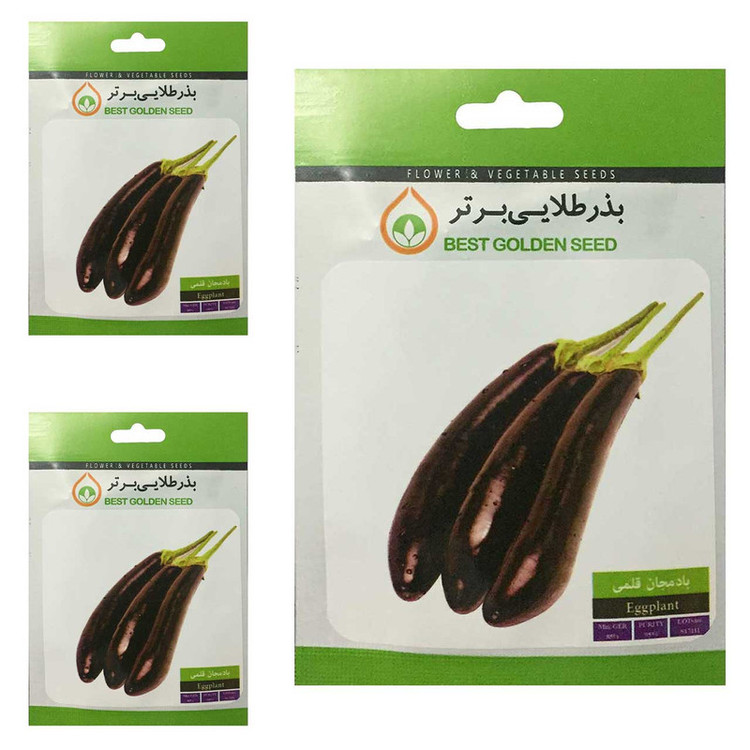 بذر بادمجان قلمی بذر طلایی برتر کد BTB-45 مجموعه 3 عددی