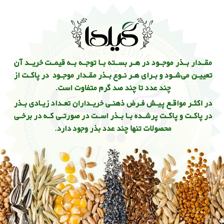 بذر سلوی قرمز گیلدا کد 923