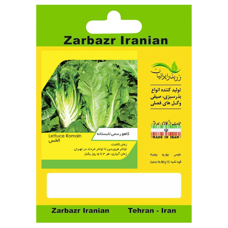بذر کاهو رسمی تابستانه زربذر ایرانیان کد ZBP-41