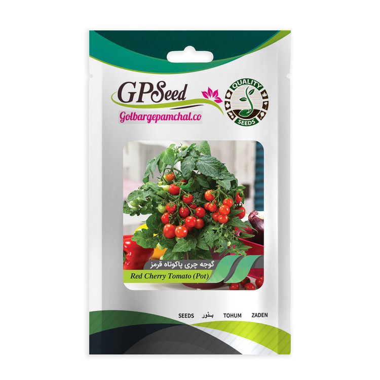 بذر گوجه چری گلدانی گلبرگ پامچال کد G-P-GP-06 مجموعه 6 عددی
