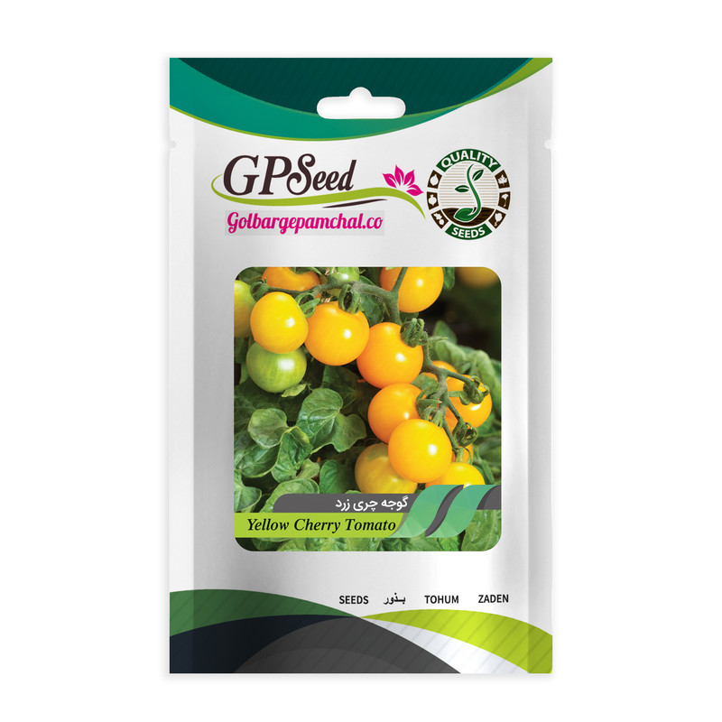 بذر گوجه چری گلدانی گلبرگ پامچال کد G-P-GP-06 مجموعه 6 عددی