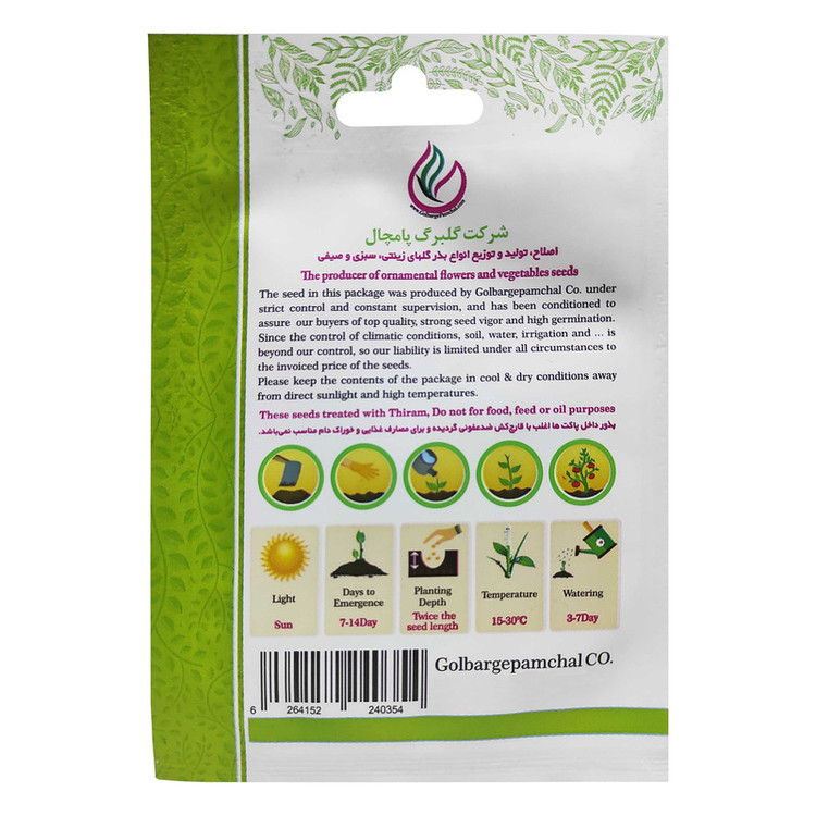 بذر گل اطلسی ایرانی گل درشت پرگل تک رنگ سفید گلدانی گلبرگ پامچال کد GPF-021