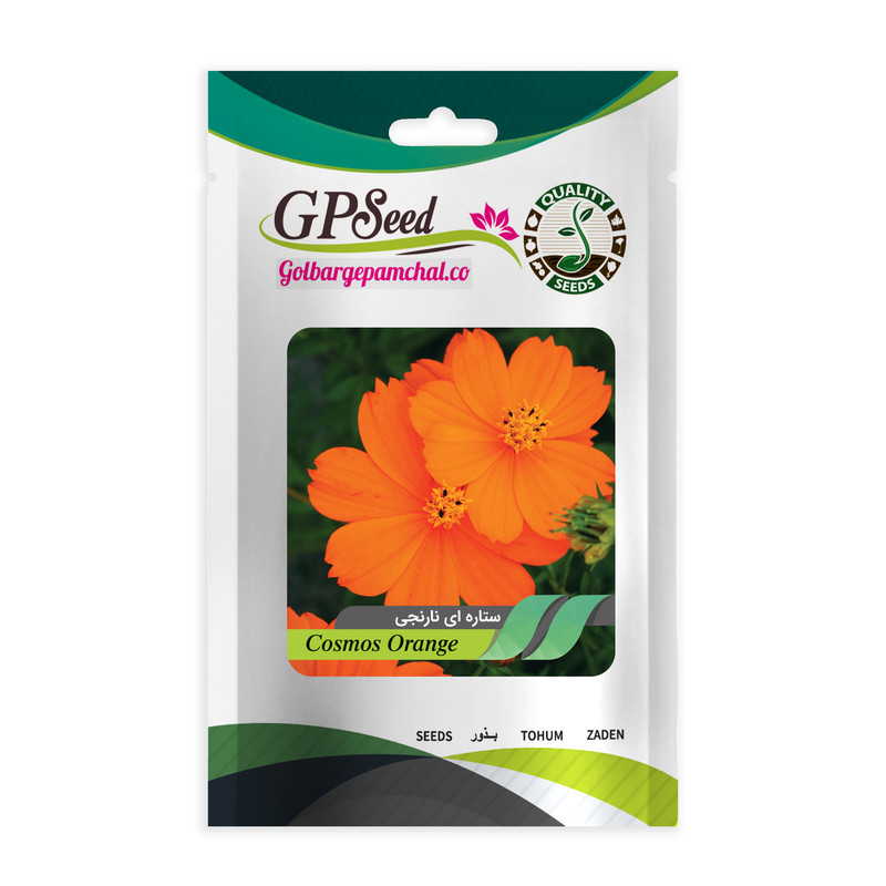 بذر گل ستاره ای رنگارنگ گلدانی گلبرگ پامچال کد G-P-GP-05 مجموعه 5 عددی