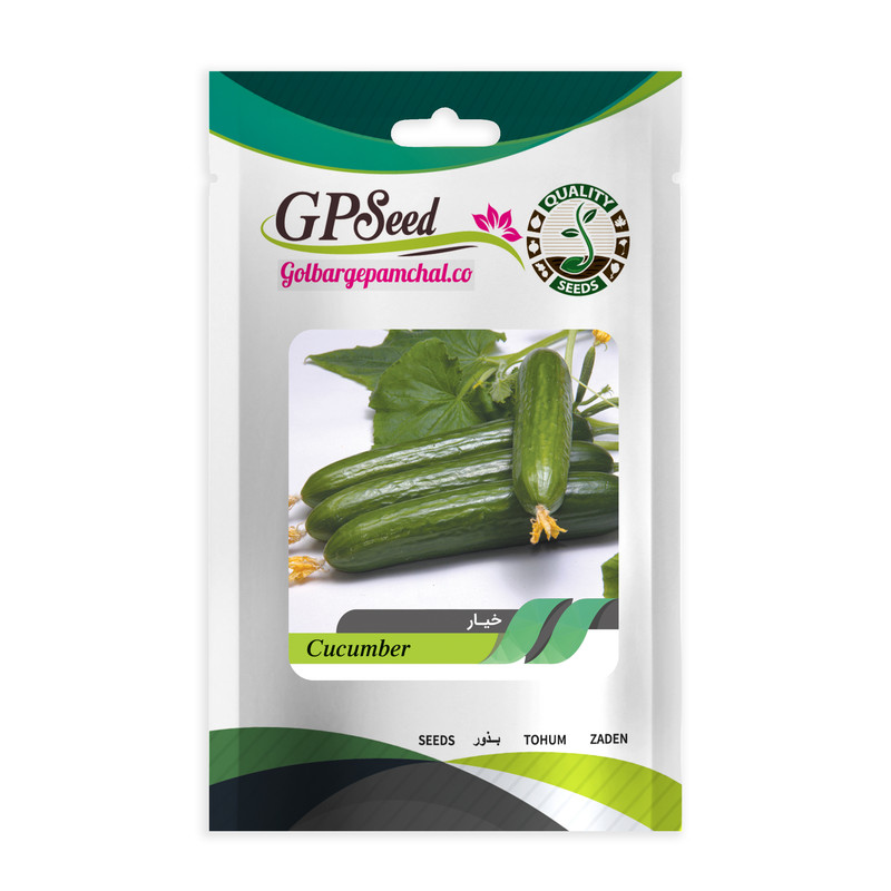 بذر صیفی جات پرمصرف گلبرگ پامچال کد G-P-GP-08 مجموعه 8 عددی