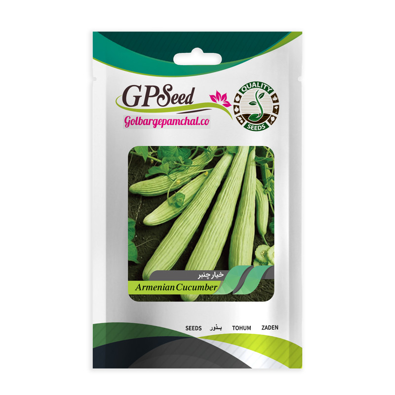 بذر صیفی جات پرمصرف گلبرگ پامچال کد G-P-GP-08 مجموعه 8 عددی